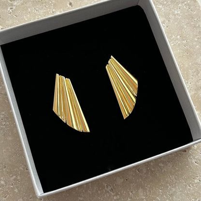 Gold geometric shell earrings in a black box on a concrete surface